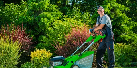 How to Keep Your Lawn Looking Fresh Between Mowing Visits