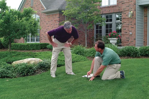 Why Professional Lawn Care Is Worth the Investment